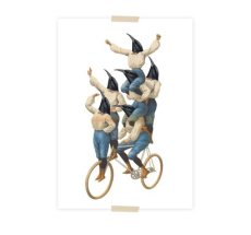 Lylies Postcard Fietsende Vogels