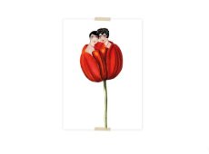 Lylies Postcard Tulp & Dametjes