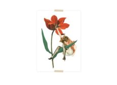 Lylies Postcard Vallend dametje en tulp